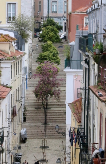 Lisbon 13